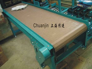 非標(biāo)輸送機